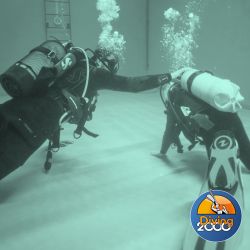 PADI Open Water Dykkerkursus (3 dags)