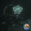 PADI Open Water Dykkerkursus (3 dags)