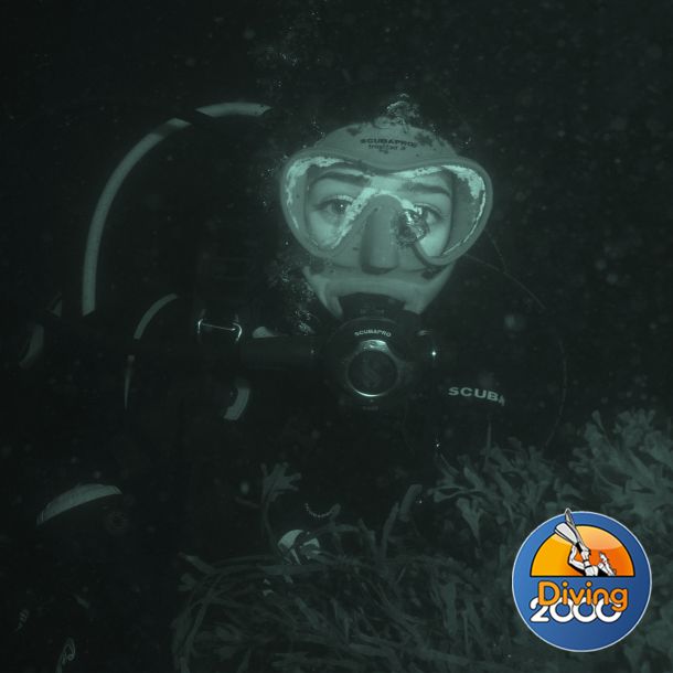 PADI Open Water Dykkerkursus (4 dags)