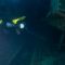 PADI DarkZone Wreck penetration