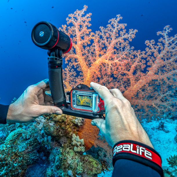 SeaLife ReefMaster Pro 2000F St