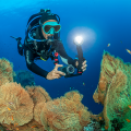 Sea Dragon 3000SF Pro Dual Beam