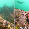 SeaLife Ultra Wide Angle Dome Lens