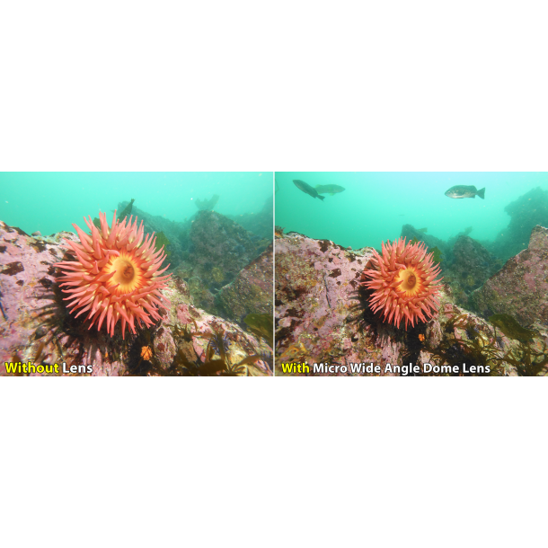 SeaLife Ultra Wide Angle Dome Lens
