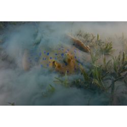 Dykkerrejse til Egypten, 18. - 25. oktober 2026