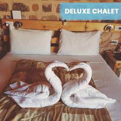 Dykkerrejse til Egypten, 18. - 25. oktober 2026