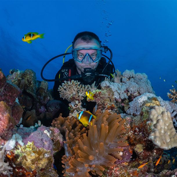 Dykkerrejse til Egypten, 16-23 Februar 2025