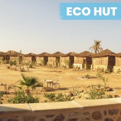 Dykkerrejse til Egypten, 18. - 25. oktober 2026