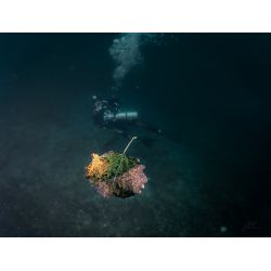 Hemmoor Kreidesee 31 Maj - 2 Juni 2024