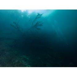 Hemmoor Kreidesee 31 Maj - 2 Juni 2024