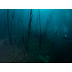 Hemmoor Kreidesee 31 Maj - 2 Juni 2024