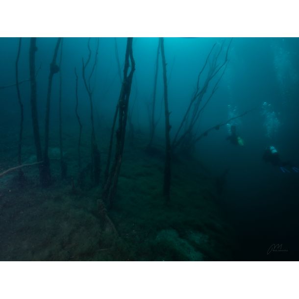 Hemmoor Kreidesee 31 Maj - 2 Juni 2024