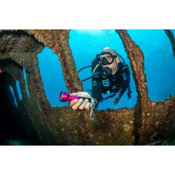 Sea Dragon Mini 1300S Power Kit