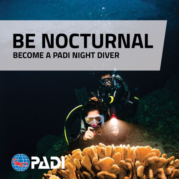 PADI Night Diver Specialty