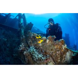 Liveaboard R�dehavet, November 2023 - Simply the Best