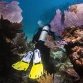 Scubapro heel strap pocket for Seawing Supernova