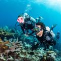 Scubapro wet suit Everflex Yulex 3/2mm - Man
