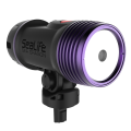 Sea Dragon Fluoro Duo Beam