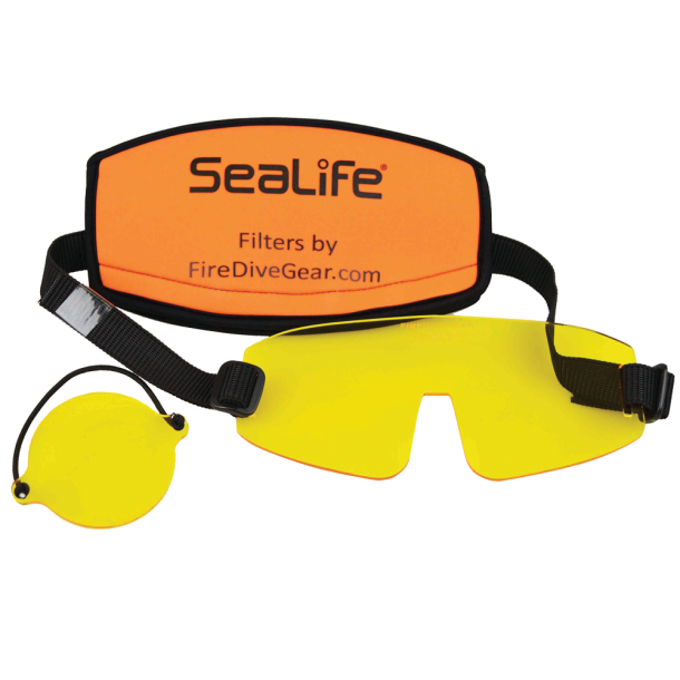 Sea Dragon Fluoro Duo Beam