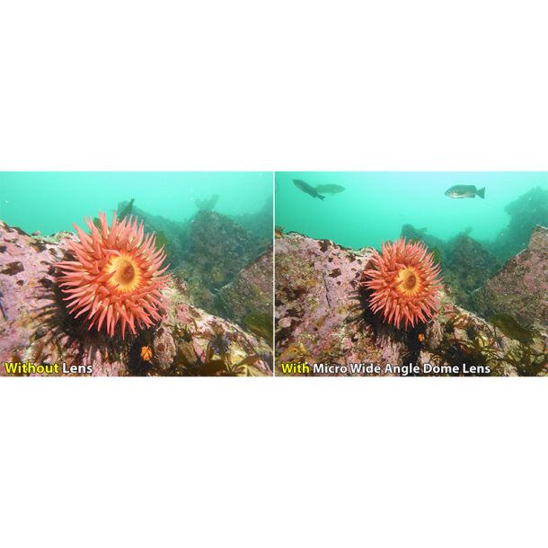Sealife linse Micro Wide Angle Dome