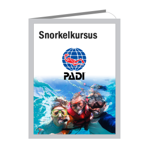 PADI snorkelkursus i pool