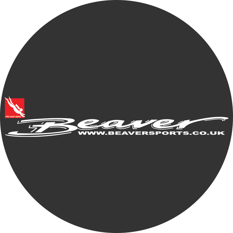 Beaver Diving 2000