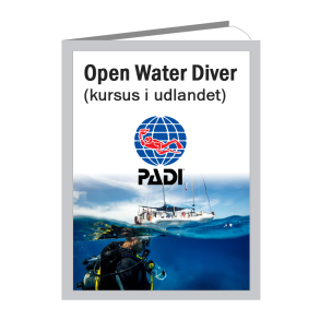 Kursus i udlandet