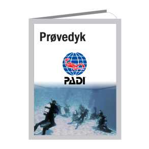 Prøvedyk i egen pool