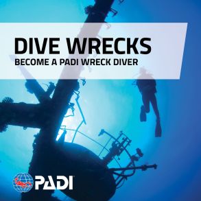Wreck Diver Specialty