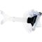 Cressi Big Eyes + Seal Dry snorkel combo