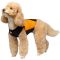 Cressi DWS v�ddragt til hund
