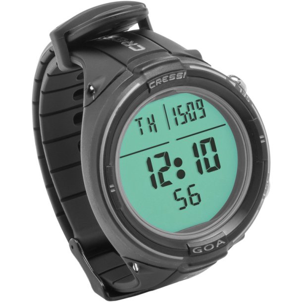 Goa Computer Watch