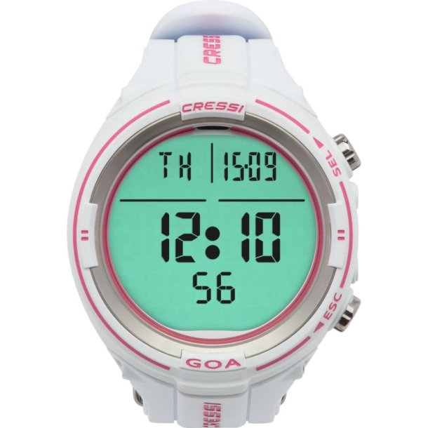 Goa Computer Watch