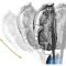 Cressi Itaca Ultra Dry snorkel klar/bl� metallic