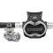 T10-SC Cromo + Master Regulator