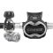 T10-SC Cromo + Master Regulator