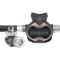 T10-SC Pvd + Master Regulator