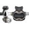 T10-SC Pvd + Master Regulator