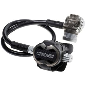 T10-SC Pvd + Master Regulator